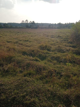  Agricultural Land for Sale in Belur Hassan