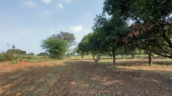  Agricultural Land for Sale in Gauribidanur, Bangalore