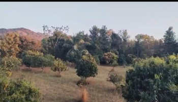  Agricultural Land for Sale in Kanakapura, Bangalore