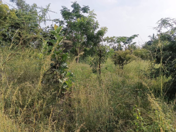  Agricultural Land for Sale in Kollegal, Chamrajnagar