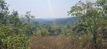  Agricultural Land for Sale in Sakleshpur, Hassan