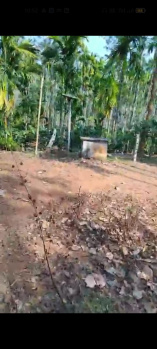  Agricultural Land for Sale in Mallandur Road, Chikmagalur