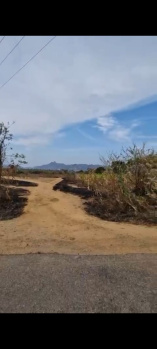  Agricultural Land for Sale in Chikkaballapur, Bangalore