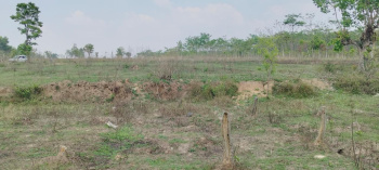  Agricultural Land for Sale in Belur Hassan