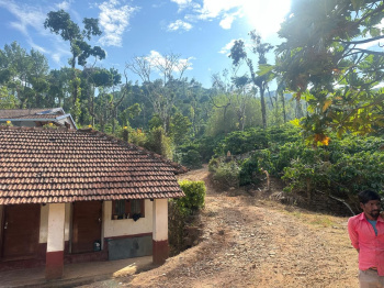  Agricultural Land for Sale in Mudigere, Chikmagalur