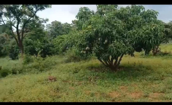  Agricultural Land for Sale in Kanakapura, Bangalore