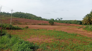  Agricultural Land for Sale in Nandi Hills, Bangalore