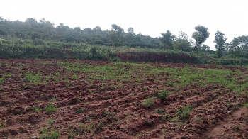  Agricultural Land for Sale in Ramanagara, Bangalore