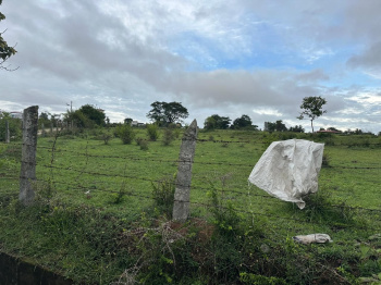  Commercial Land for Sale in Belur Hassan