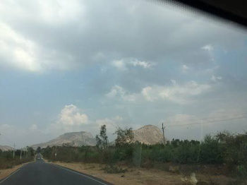  Agricultural Land for Sale in Doddaballapur, Bangalore