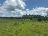  Agricultural Land for Sale in Hebbalu, Hassan