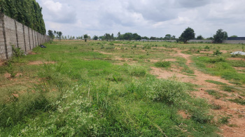  Agricultural Land for Sale in Devanahalli, Bangalore