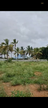  Agricultural Land for Sale in Doddaballapur, Bangalore