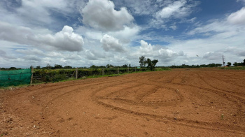  Agricultural Land for Sale in Doddaballapur, Bangalore