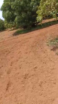  Agricultural Land for Sale in Channapatna, Bangalore