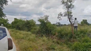  Agricultural Land for Sale in Malavalli, Mandya