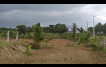  Agricultural Land for Sale in Maddur, Mandya