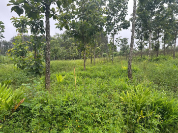  Agricultural Land for Sale in Belur Hassan