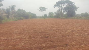 Agricultural Land for Sale in Mysore Banglore Highway
