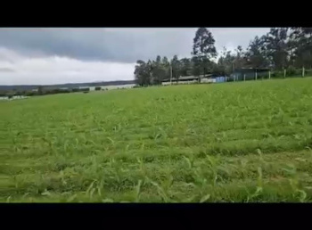  Agricultural Land for Sale in Hebbalu, Hassan