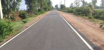  Agricultural Land for Sale in Vemagal, Kolar