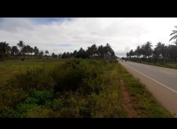  Agricultural Land for Sale in Kadur, Chikmagalur
