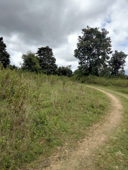  Agricultural Land for Sale in Kadur, Chikmagalur