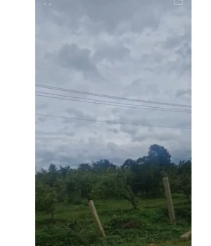  Agricultural Land for Sale in Chikkaballapur, Bangalore