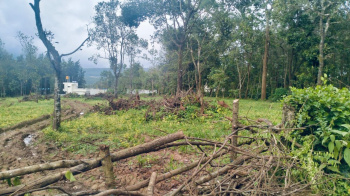  Agricultural Land for Sale in Joythinagar, Chikmagalur