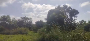  Agricultural Land for Sale in Gowdanapalya, Bangalore