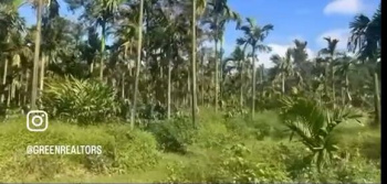  Agricultural Land for Sale in Mudigere, Chikmagalur