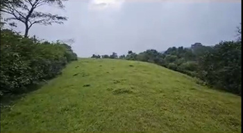  Agricultural Land for Sale in Sakleshpur, Chikmagalur