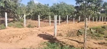  Agricultural Land for Sale in Ramanahalli, Mysore