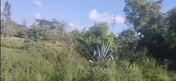  Agricultural Land for Sale in Ramakrishna Nagar, Mysore