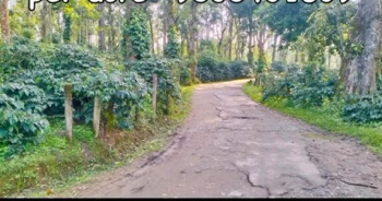  Agricultural Land for Sale in Mallandur Road, Chikmagalur