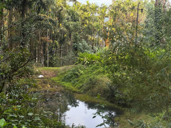  Agricultural Land for Sale in Mudigere, Chikmagalur