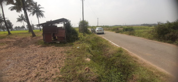  Commercial Land for Sale in Koppa, Chikmagalur