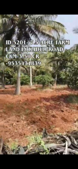 Agricultural Land for Sale in Kadur, Chikmagalur