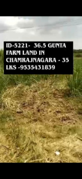  Agricultural Land for Sale in Santhamarahalli, Chamrajnagar