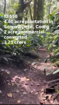  Agricultural Land for Sale in Shanivarasanthe, Kodagu