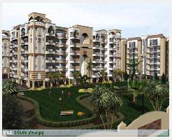 3 BHK Flat for Sale in Focal Point, Patiala