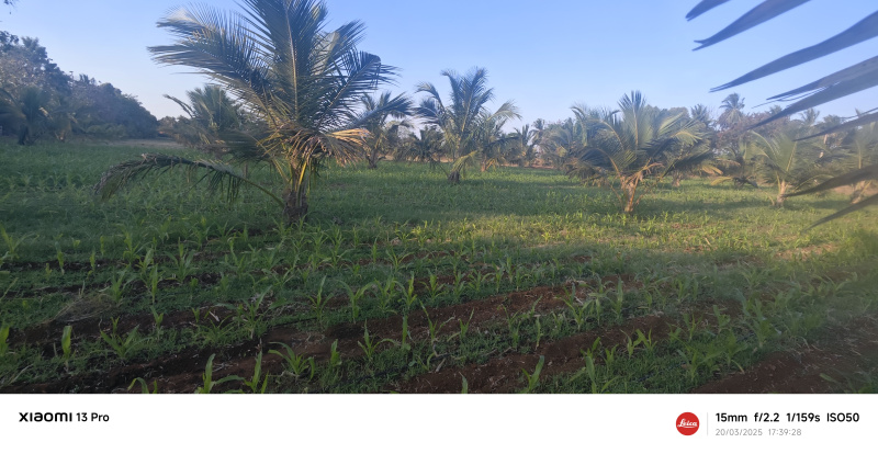 Agricultural Land 4 Acre for Sale in T Narasipura Road, Mysore