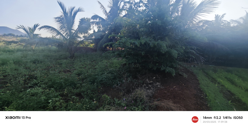  Agricultural Land 4 Acre for Sale in T Narasipura Road, Mysore