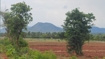  Agricultural Land for Sale in Hanur, Chamrajnagar