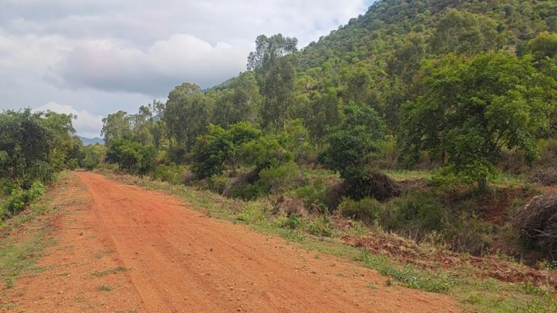  Agricultural Land 4 Acre for Sale in Hanur, Chamrajnagar