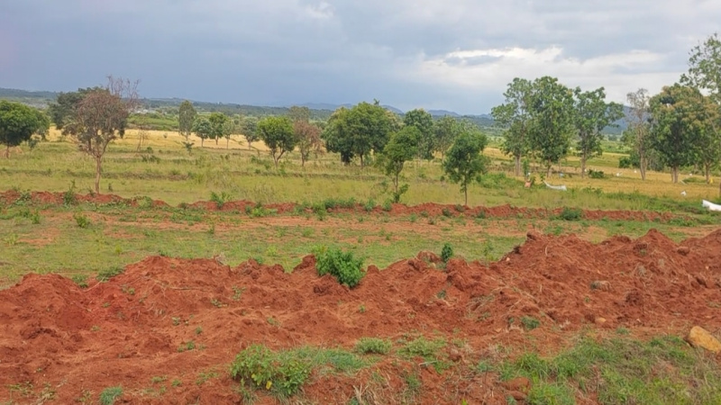  Agricultural Land 4 Acre for Sale in Hanur, Chamrajnagar