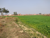  Residential Plot for Sale in Khairabad, Mau (Maunath Bhanjan)