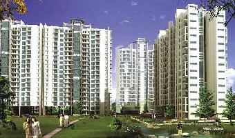3 BHK Flat for Sale in Sector 37C Gurgaon