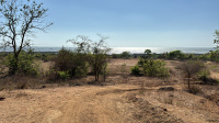  Agricultural Land for Sale in Shrivardhan, Raigad