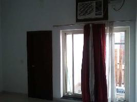 2 BHK Flat for Rent in Sector 15 Noida